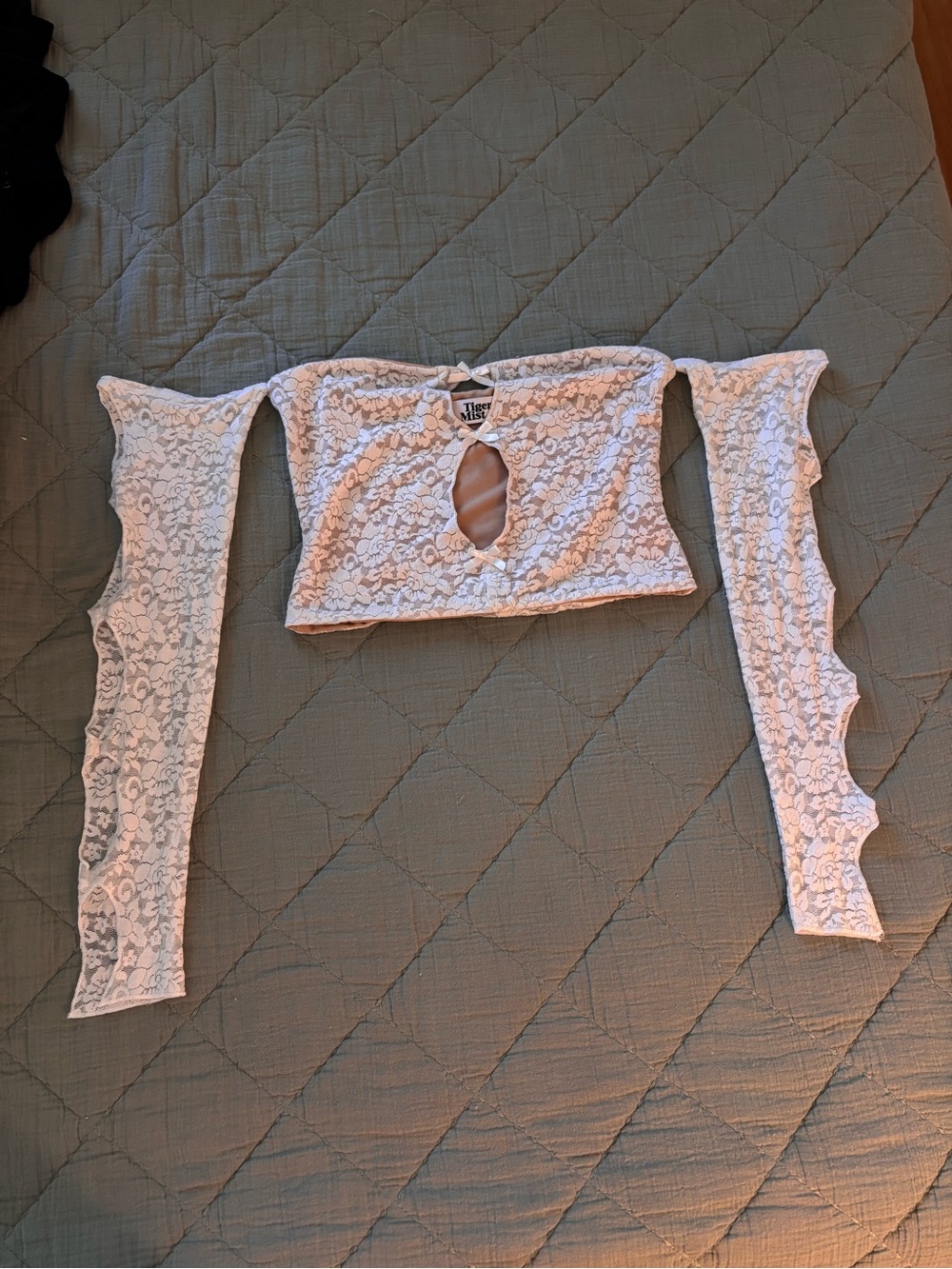 Tiger Mist White Lace Off-Shoulder Crop Top with Detachable Sleeves